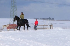 skijerink_kone_stajkaterina_hrdlorezy_01